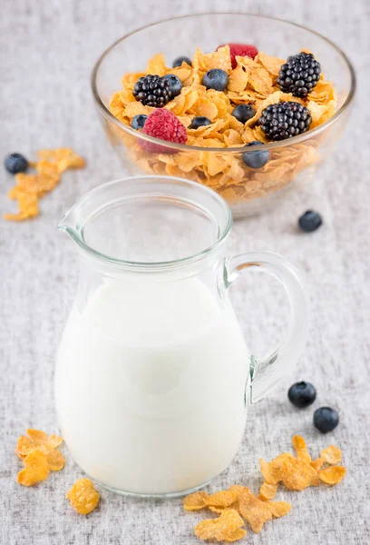 Süt, taze meyve ve tahıllar ile sağlıklı bir kahvaltı — Stok fotoğraf