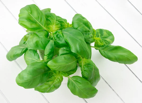 Hojas de albahaca fresca sobre fondo blanco — Foto de Stock