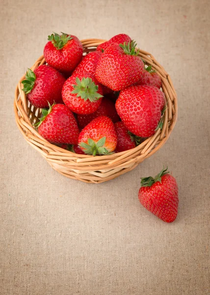 Čerstvé jahody v misce — Stock fotografie