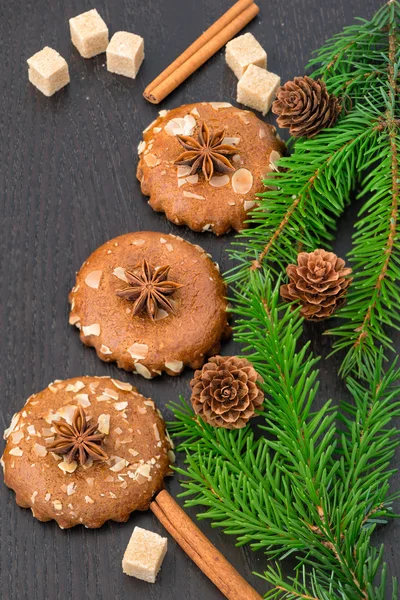 Christmas decoration: fir sprig, pine cone and chip cookie — Stock Photo, Image