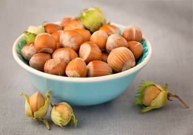 fındık kabuğu tablo