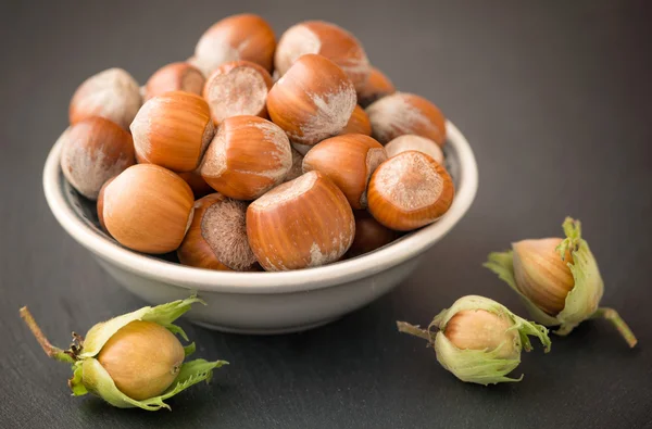 Hazelnuts with shell — Stock Photo, Image