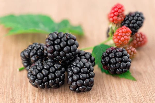 成熟新鲜的黑莓 — 图库照片