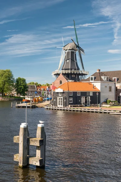 Kijk in haarlem, Nederland met molen — Stockfoto