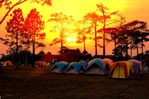 sun set time on camping ground. National park camping tents area in the midst of nature sun dawn multi color abstract sky panoramic landscape
