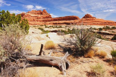 Canyonlands Milli Parkı