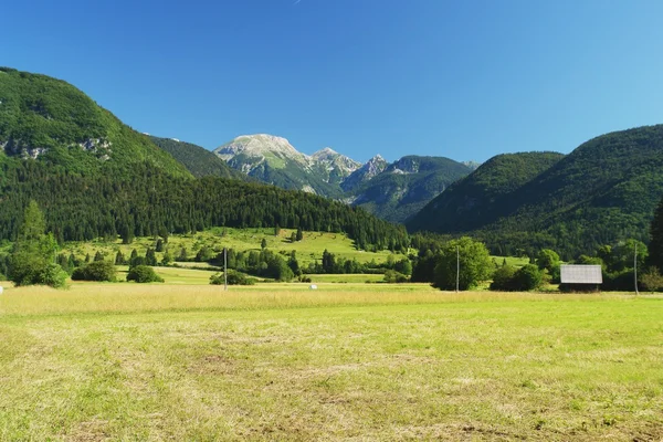 Bohinj, Slovinsko — Stock fotografie