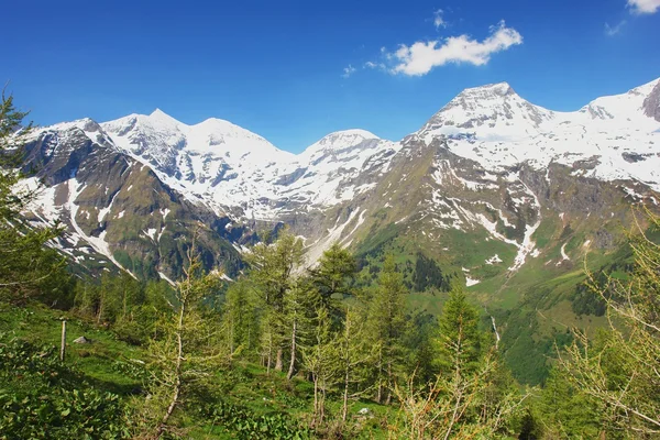 Alpes austríacos — Foto de Stock