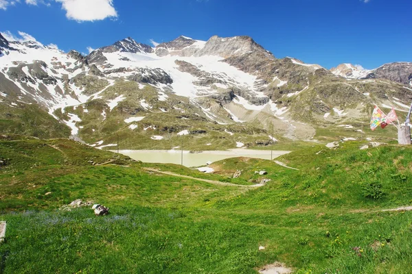 Ελβετικά Άλπεις — Φωτογραφία Αρχείου