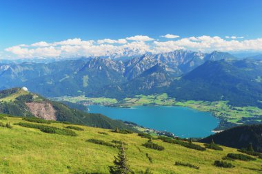 schafberg, Avusturya