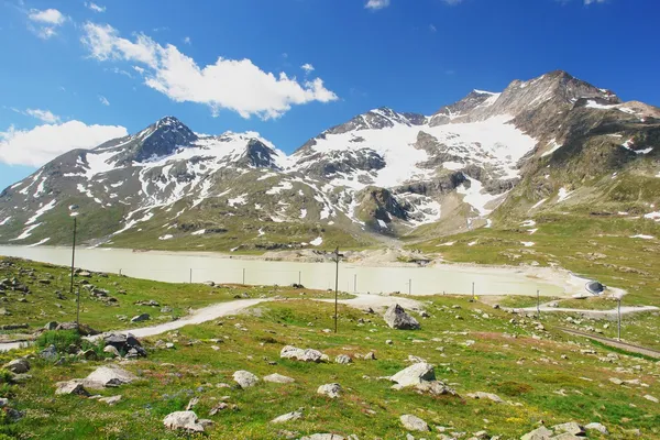 Zwitserse Alpen — Stockfoto