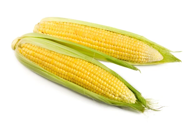 Sweet corn isolated on the white — Stock Photo, Image