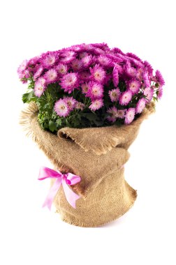 Tuval üzerinde beyaz izole mor çiçekler süslü