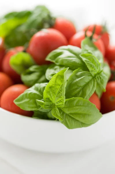 Tomates y albahaca en plato blanco — Foto de Stock