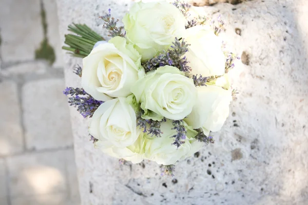 Rosas blancas sobre una roca —  Fotos de Stock