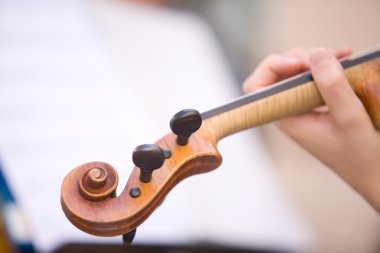 kadın el keman boyun