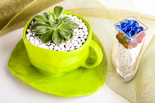 Table decorations — Stock Photo, Image