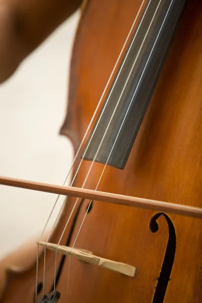 Women playing bass — Stock Photo, Image