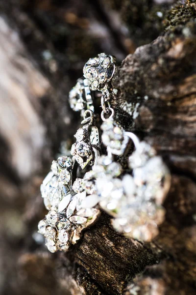 다이아몬드와 나무 — 스톡 사진