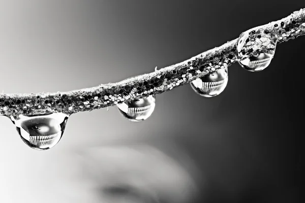 Schwarze und weiße Glycerin-Tropfen — Stockfoto