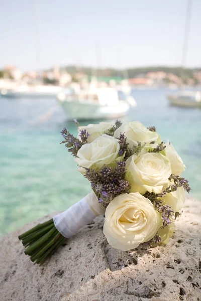 Rosas na rocha — Fotografia de Stock