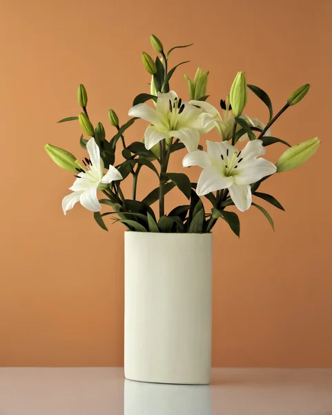 White Lilly — Stock Photo, Image