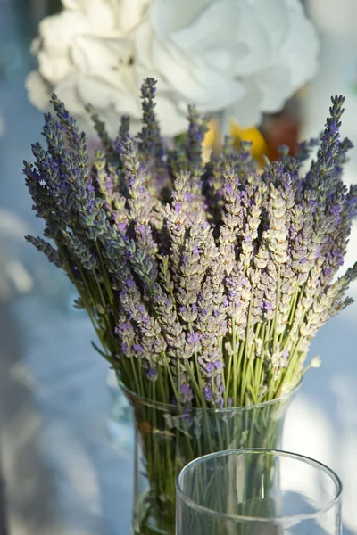 Lavender and Roses — Stock Photo, Image