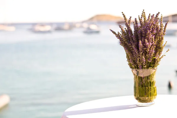 Lavender in a vase — Stock Photo, Image