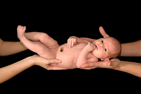 持ち株の赤ちゃん — ストック写真