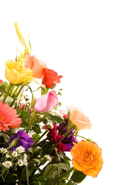 Variety of flowers — Stock Photo, Image