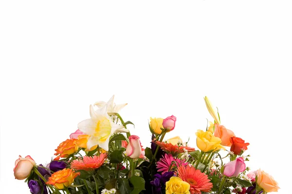 Variety of flowers — Stock Photo, Image