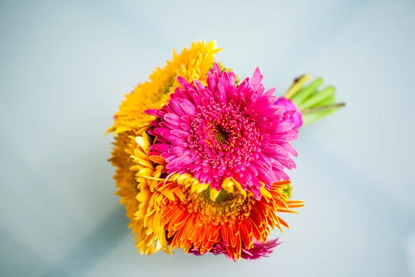 Kytice Gerbera — Stock fotografie