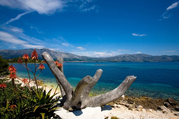 Ilha beleza — Fotografia de Stock