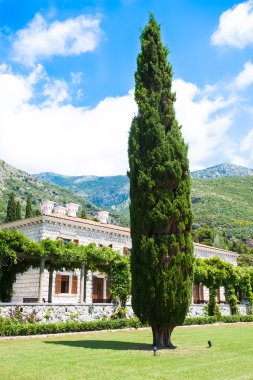 büyük ağaç, tuğla ev