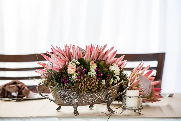 Proteas en plata —  Fotos de Stock