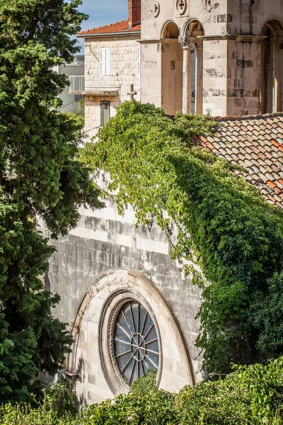 Churches rooftop with tendrils growing thickly Stock Image