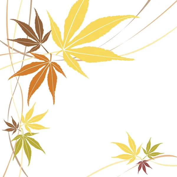 Vecteur de feuilles d'érable d'automne ou d'automne . — Image vectorielle