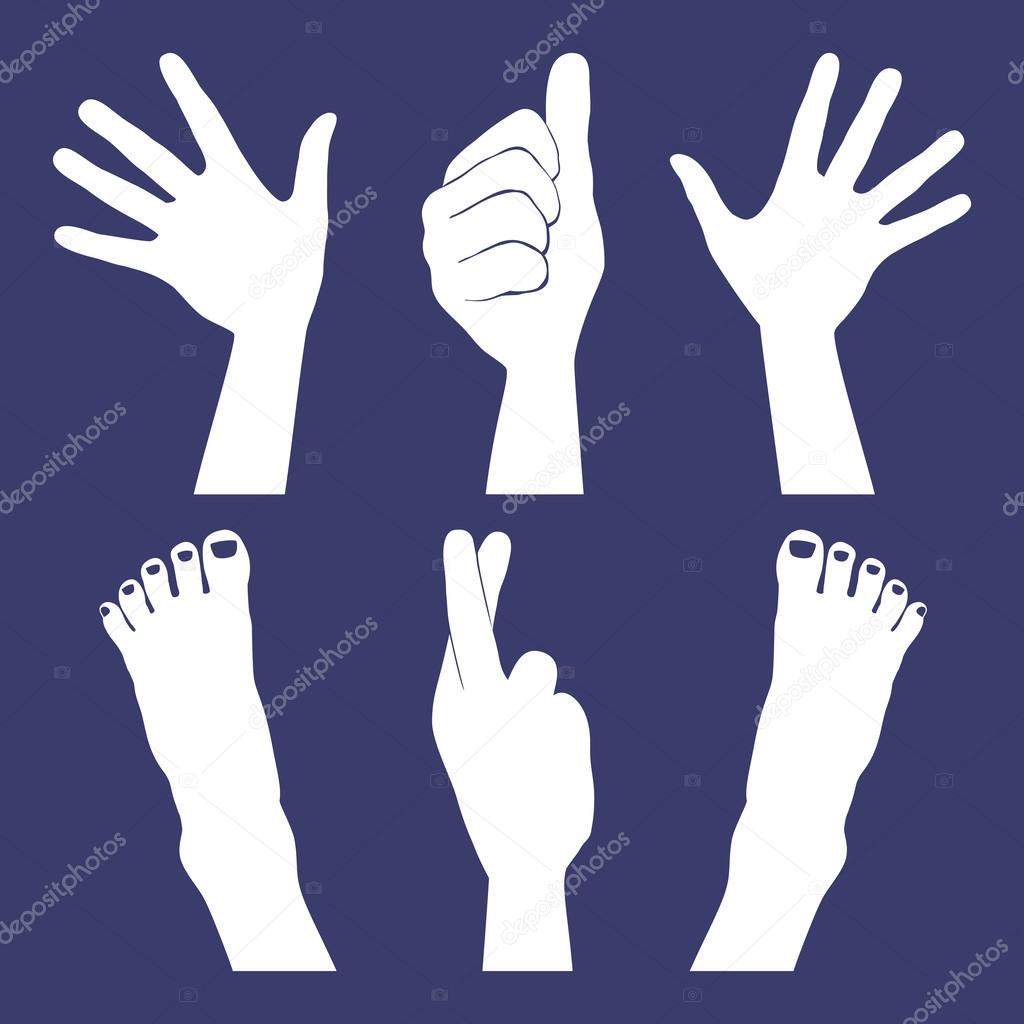 Hands And Feet Silhouettes Stock Vector Image By ©aquasip 26604117
