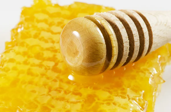 Honey — Stock Photo, Image