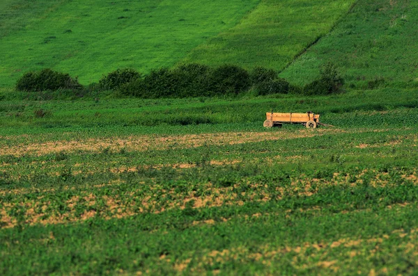 Wooden cart — Stock Photo, Image