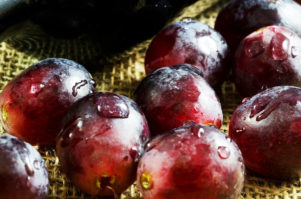 Druiven en wijn — Stockfoto