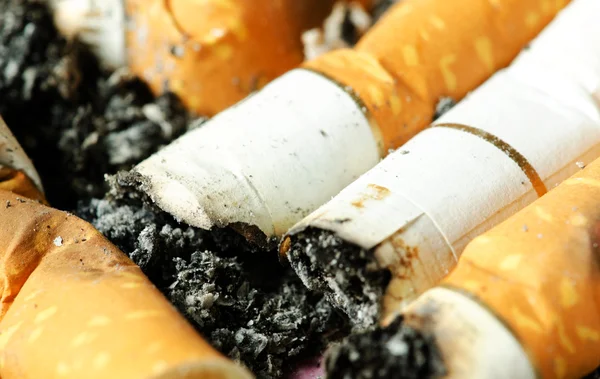 Cigarette buds — Stock Photo, Image