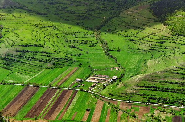 Agricultural landscape