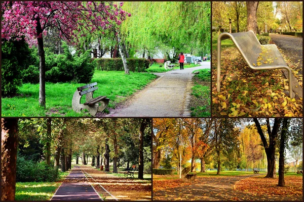 Parc ruelles collage image . — Photo