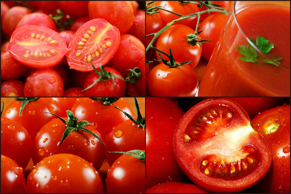 Tomatoes collage images.