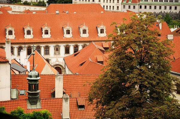 Rote Dächer. — Stockfoto