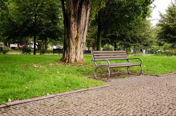 Banco no parque . — Fotografia de Stock