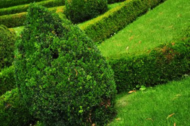 Prag, Kraliyet Bahçe,