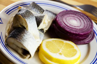 Marine ringa balığı.