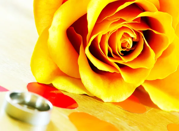 Rosa amarilla y anillo de bodas . —  Fotos de Stock